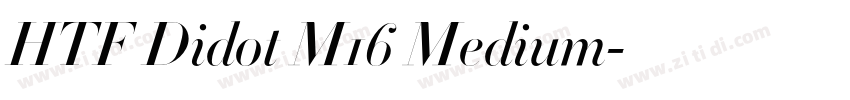 HTF Didot M16 Medium字体转换